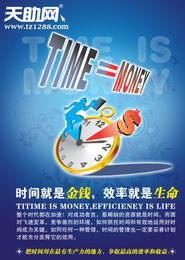 上海睿达网络 网页制作与赛事策划的专业服务商