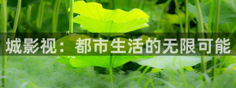 麦田影视影楼：城影视：都市生活的无限可能