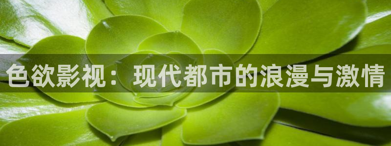 麦田影院免费下载