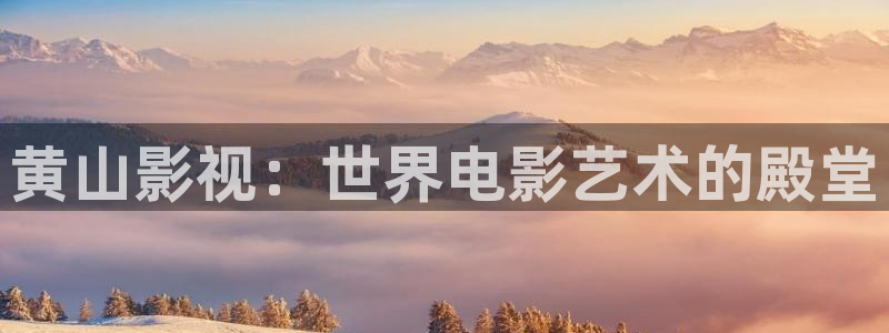 上海麦田