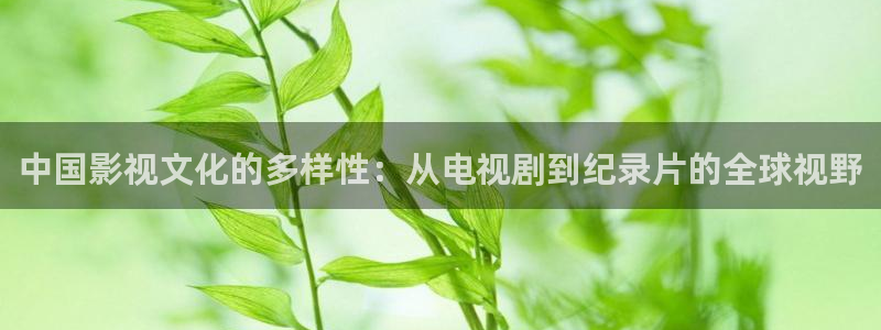 麦田影视免费高清观看电视剧