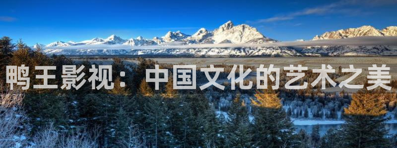 宁波麦田