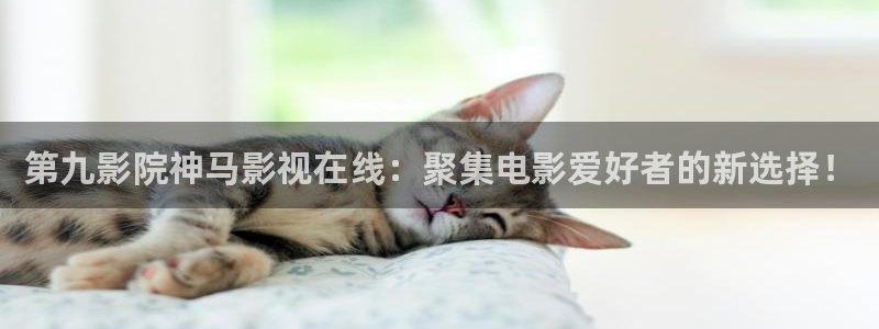 库尔勒麦田影城今日放映表