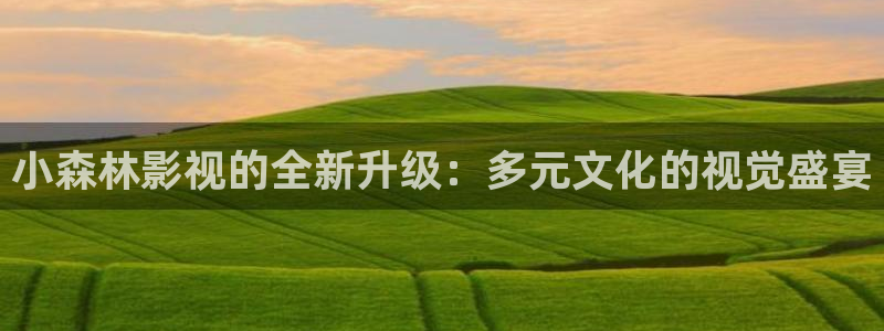 麦田电影在线播放