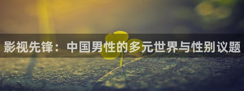 库尔勒新汇嘉麦田影城今日放映