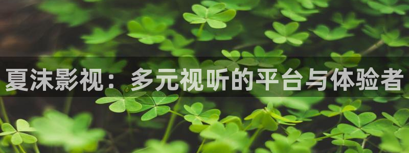 沂水麦田影城