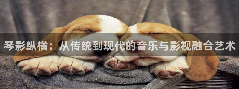 麦田实拍：琴影纵横：从传统到现代的音乐与影视融合艺术