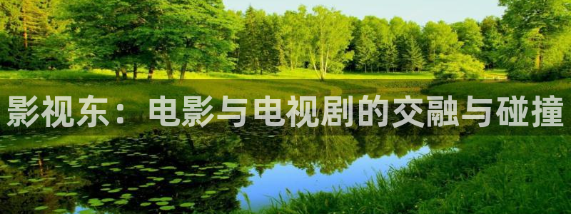 麦田影院官网免费观看：影视东：电影与电视剧的交融与碰撞