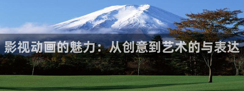 麦田 电影：影视动画的魅力：从创意到艺术的与表达